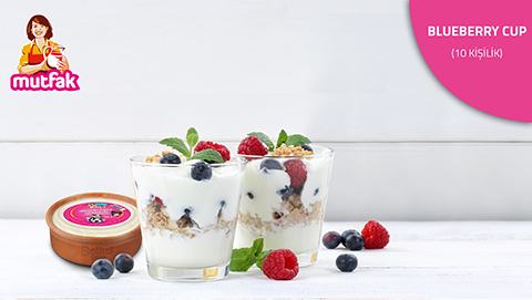 BELKIS MANDA İNEK YOĞURDU YOĞURTLU VE MEYVELİ CUP TARİFİ