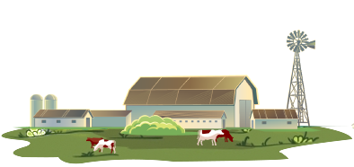 BELKIS ÇİFTLİĞİ